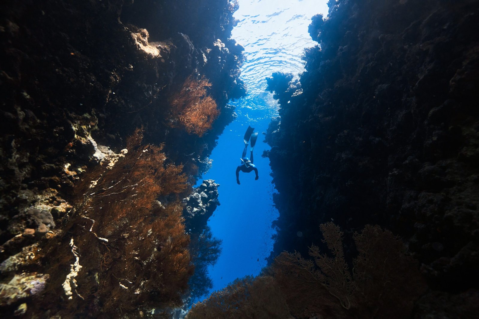 a person swimming in a deep blue ocean